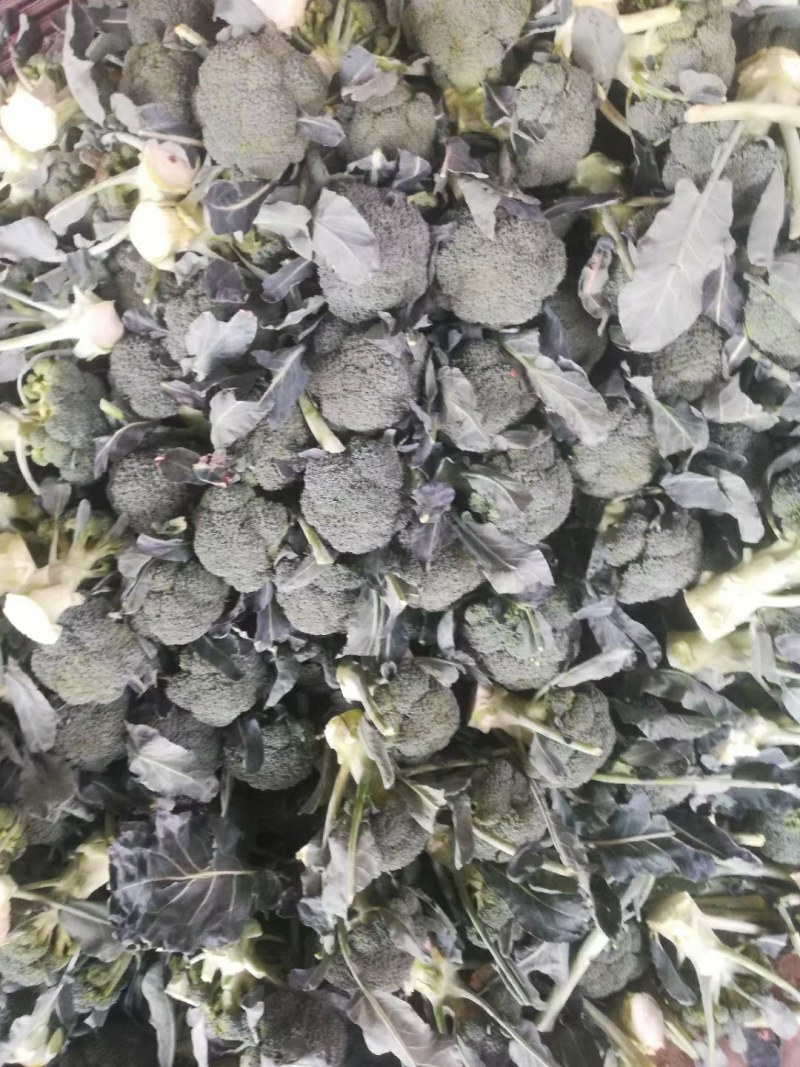 蔬菜，精品西蓝花，颜色青绿，口感清脆，产地供应