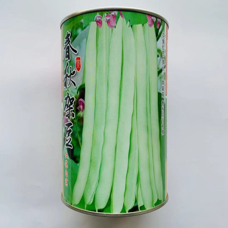 架豆种子春秋架豆早熟肉厚籽少纤维少品质佳