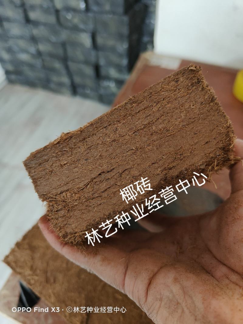 进口椰砖营养士通用养花土椰土颗粒栽培土通用型无盐种菜