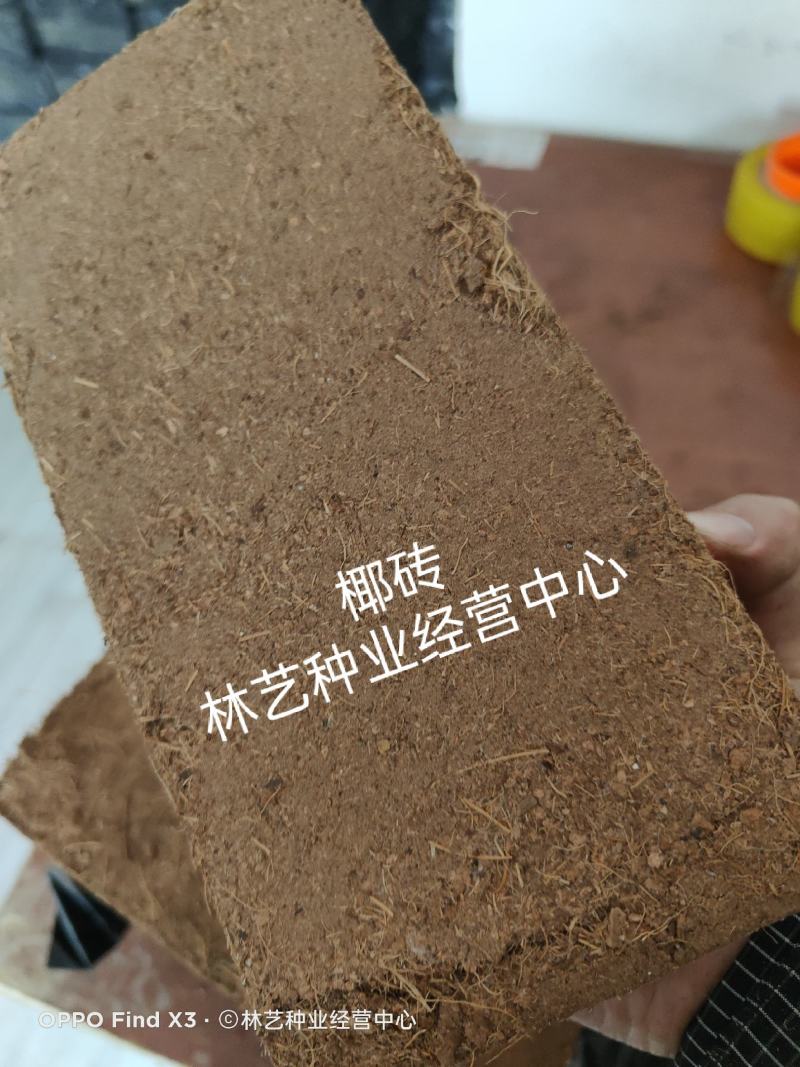 进口椰砖营养士通用养花土椰土颗粒栽培土通用型无盐种菜