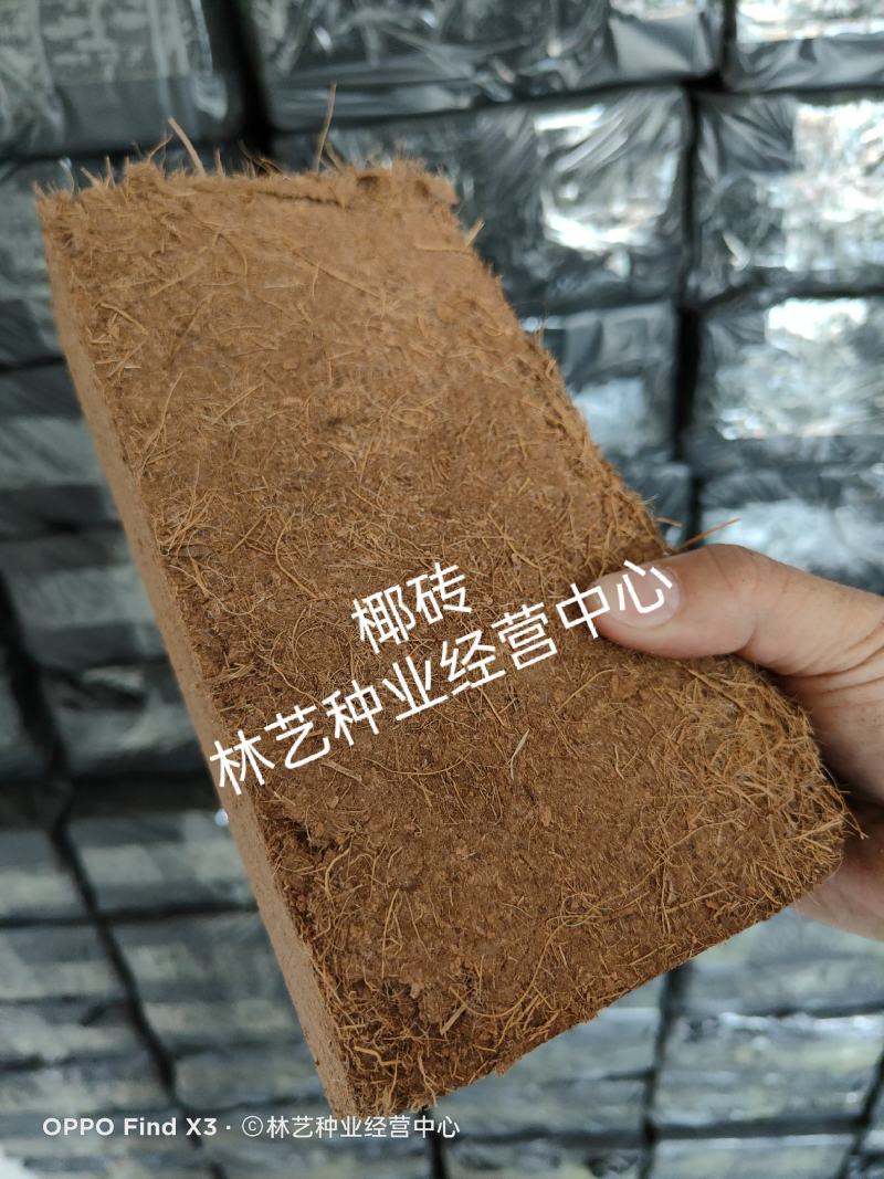 进口椰砖营养士通用养花土椰土颗粒栽培土通用型无盐种菜