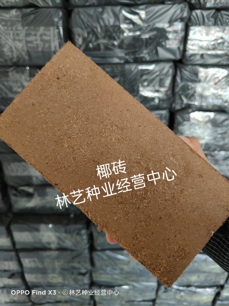 进口椰砖营养士通用养花土椰土颗粒栽培土通用型无盐种菜