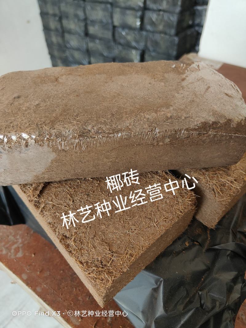 进口椰砖营养士通用养花土椰土颗粒栽培土通用型无盐种菜