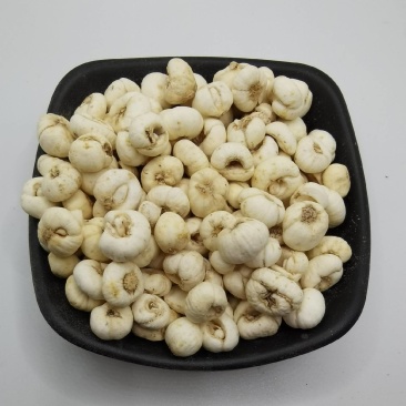 中药材批发贝母平贝母，各种规格现货供应