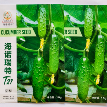 升级强雌性华南型黄瓜种子翠绿油亮口感脆甜爽口刺瘤大旱黄瓜