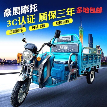 电动三轮车载重王货车可上牌拉货三轮车快递车农用电瓶车家