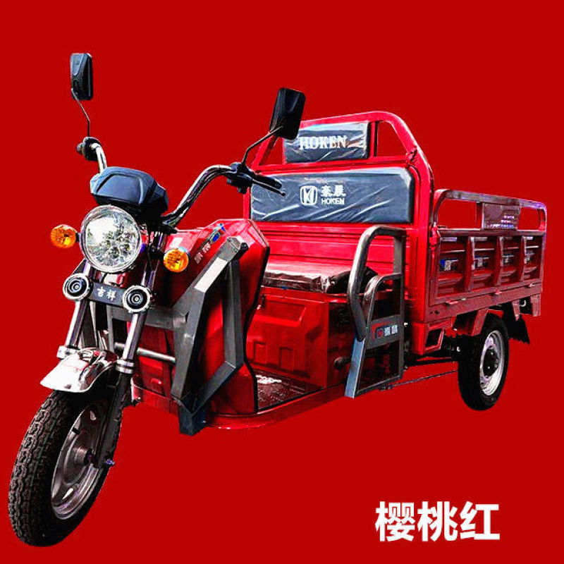 电动三轮车载重王货车可上牌拉货三轮车快递车农用电瓶车家