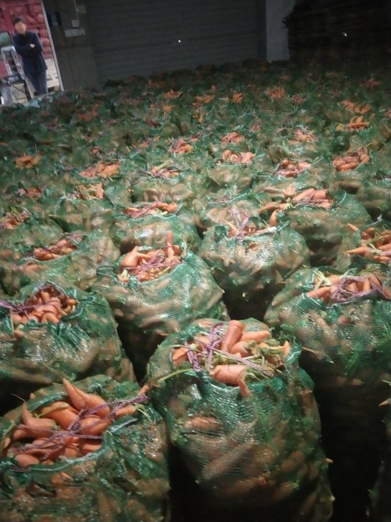 次品胡萝卜养殖场专用加工厂专供产地直发量大优惠