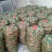 次品胡萝卜养殖场专用加工厂专供产地直发量大优惠