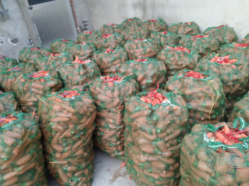 次品胡萝卜养殖场专用加工厂专供产地直发量大优惠