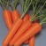 萝卜种子，胡萝卜种子，红箭7号，三红七寸参胡萝卜种子