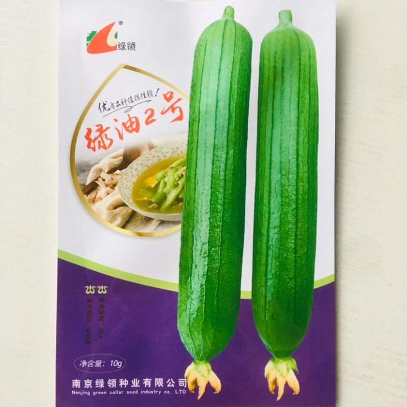 短棒型油亮丝瓜种子上下一般粗绿油2号丝瓜酷绿丝瓜种籽