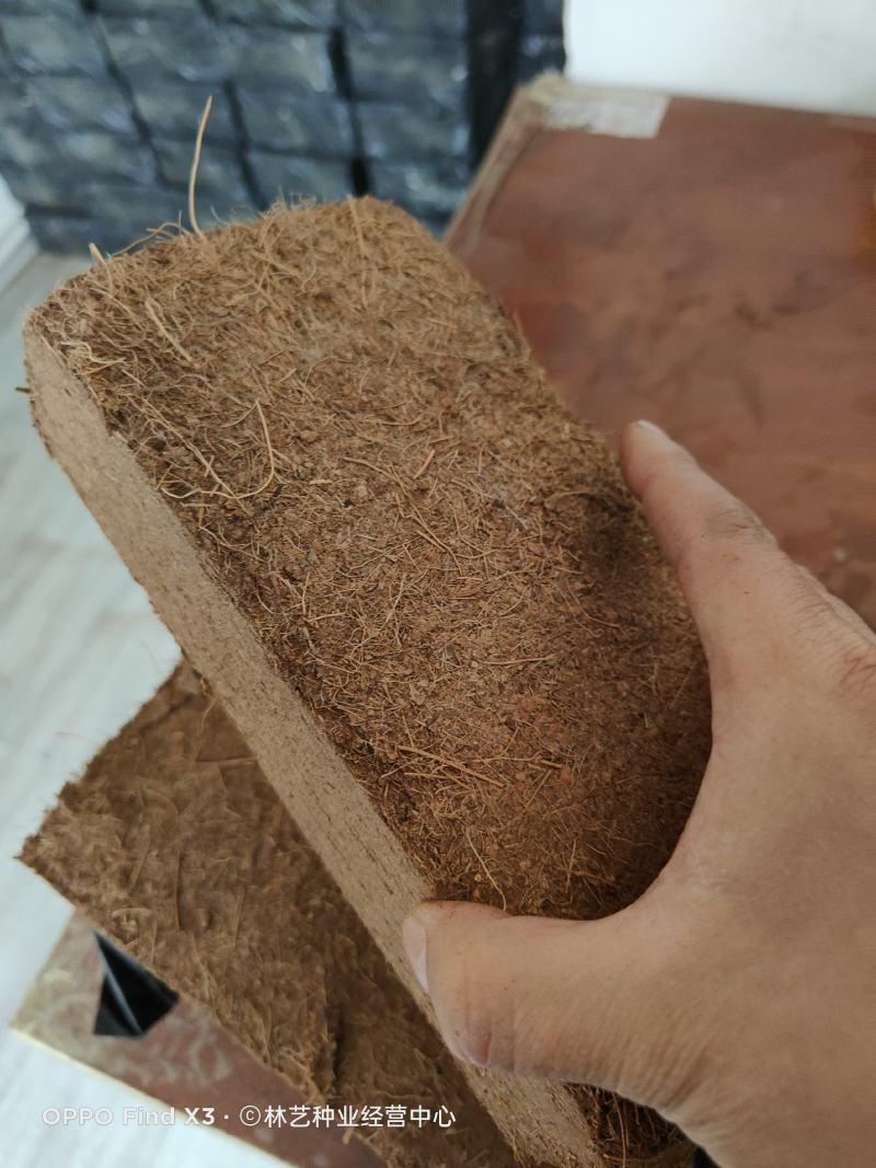 椰砖营养土通用型椰土壤椰糠粗椰壳种花养花种菜清仓种植大块