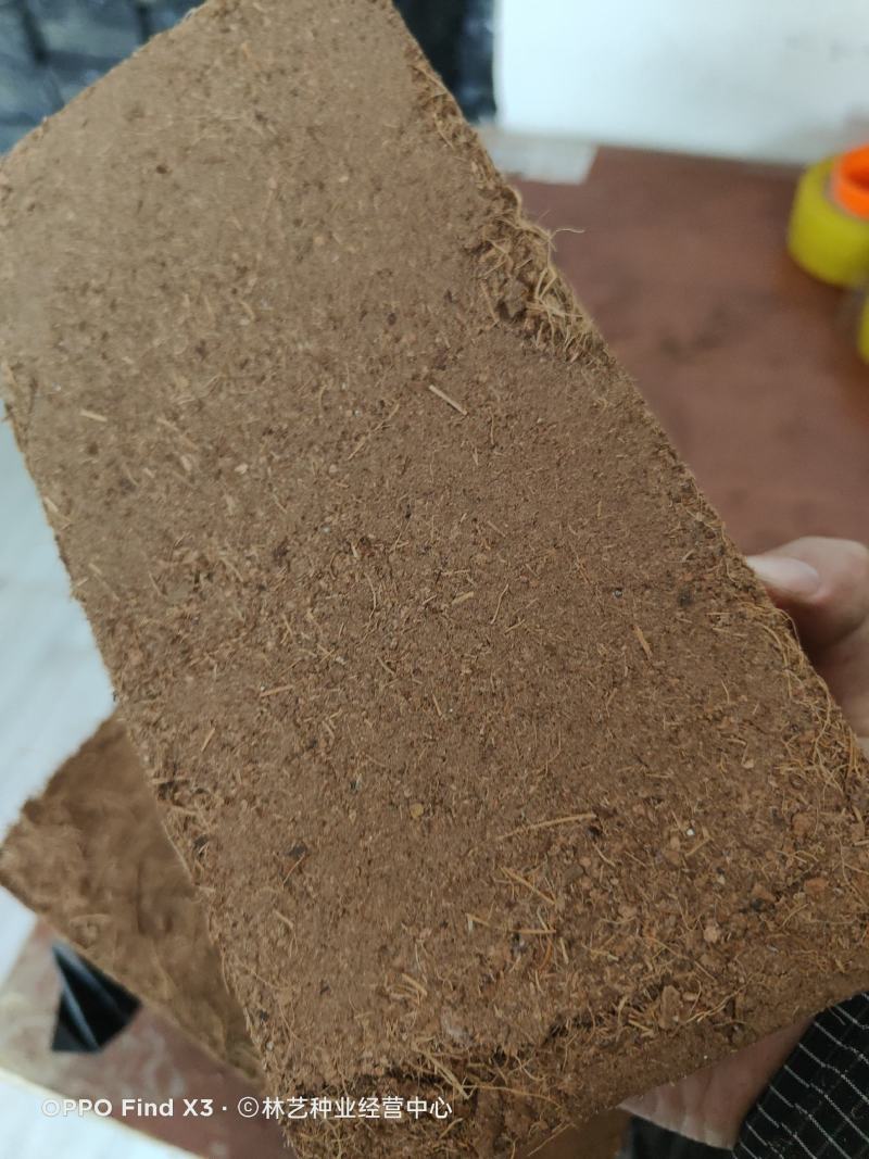 椰砖营养土通用型椰土壤椰糠粗椰壳种花养花种菜清仓种植大块