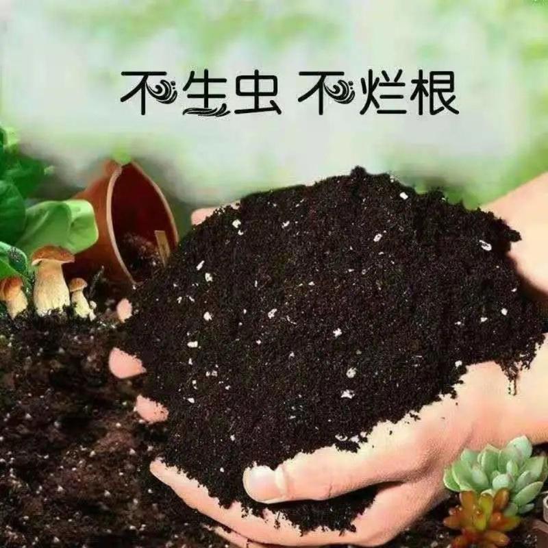 椰砖营养土脱盐种植椰壳通用型养花阳台种菜土壤大块耶砖椰糠