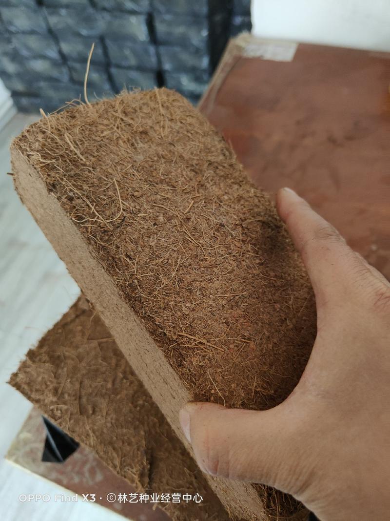 椰砖营养土脱盐种植椰壳通用型养花阳台种菜土壤大块耶砖椰糠
