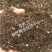 椰砖营养土脱盐种植椰壳通用型养花阳台种菜土壤大块耶砖椰糠