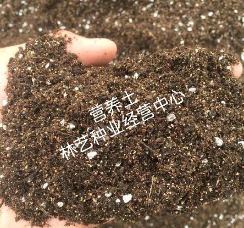 椰砖营养土脱盐种植椰壳通用型养花阳台种菜土壤大块耶砖椰糠