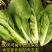 快菜种子奶油小白菜籽四季播20天快菜春夏秋冬季种青蔬菜种