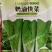 快菜种子奶油小白菜籽四季播20天快菜春夏秋冬季种青蔬菜种