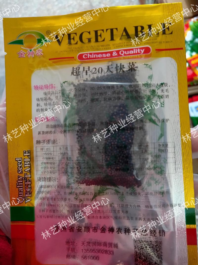 金神农起早20天快菜种子种籽四季小白菜蔬菜青菜籽孑籽