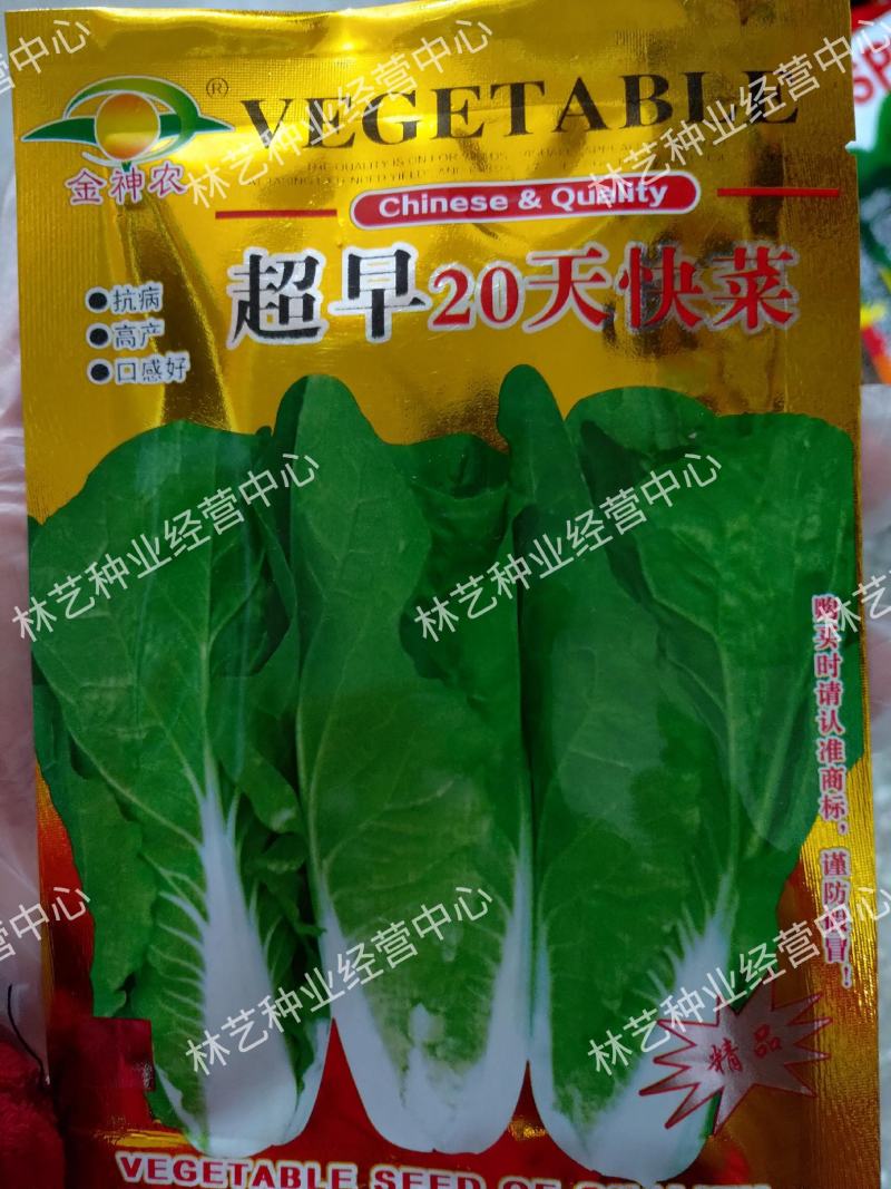 金神农起早20天快菜种子种籽四季小白菜蔬菜青菜籽孑籽