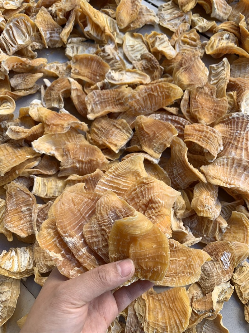 笋尖玉兰片笋干黄泥毛竹笋干赣南优质笋尖短片冬笋片