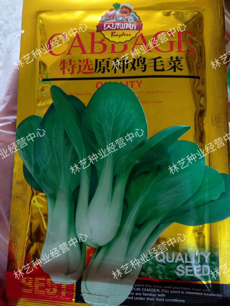 鸡毛菜种子四季播种抗热耐寒蔬菜种子阳台盆栽易种小青菜籽
