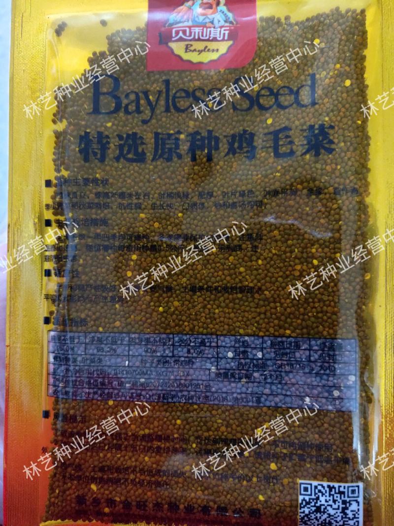 鸡毛菜种子四季播种抗热耐寒蔬菜种子阳台盆栽易种小青菜籽