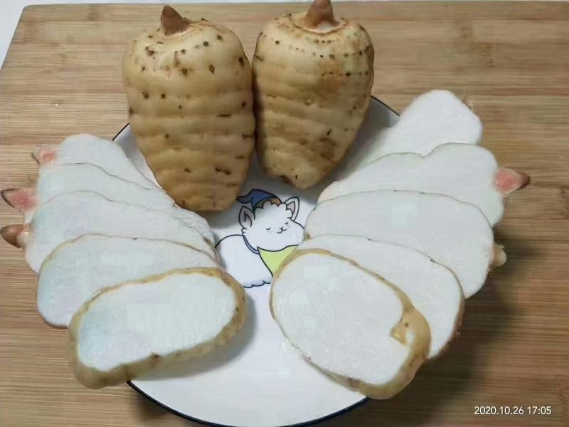 这么冷的天还在挖天麻，这个天麻来之不易呀质量也是有保障的