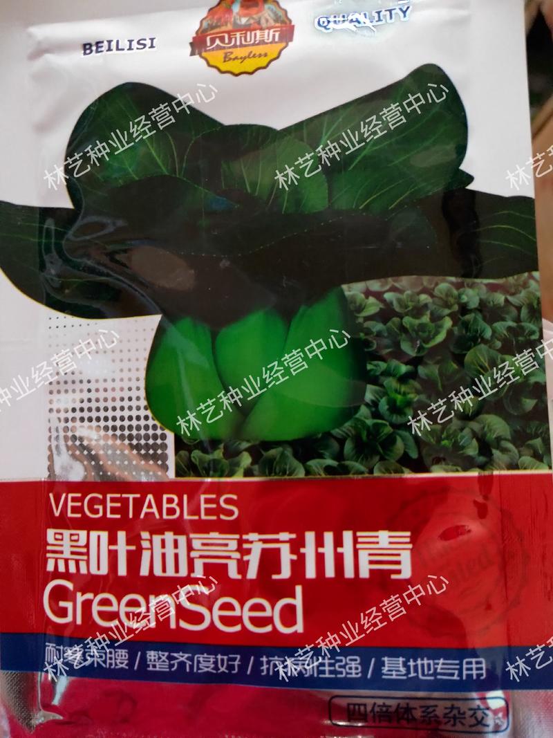 四季黑叶苏州青黑大头菜籽青菜种子原装油亮矮脚苏州青蔬菜种