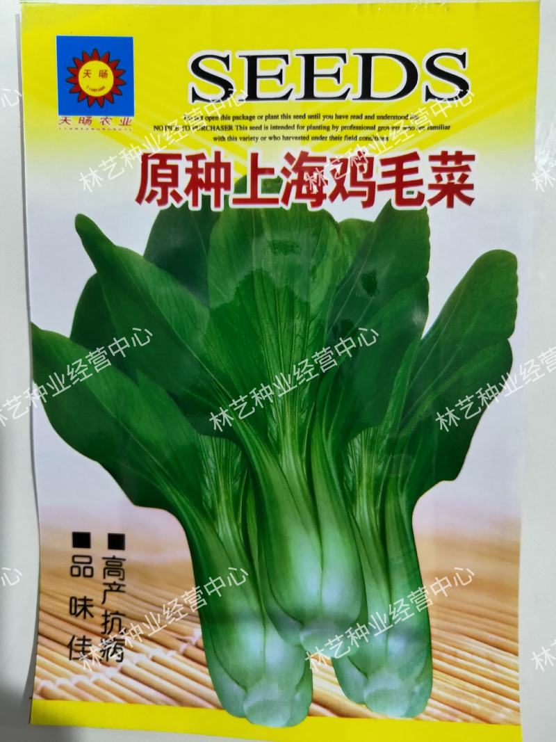 原种上海鸡毛菜种子小青菜种籽青帮油菜阳台盆栽蔬菜种孑