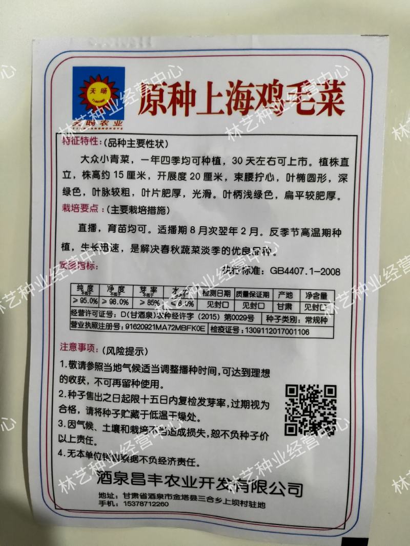 原种上海鸡毛菜种子小青菜种籽青帮油菜阳台盆栽蔬菜种孑