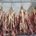 连州东陂腊味腊猪头皮（可一件代发）