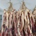 连州东陂腊味腊猪头皮（可一件代发）