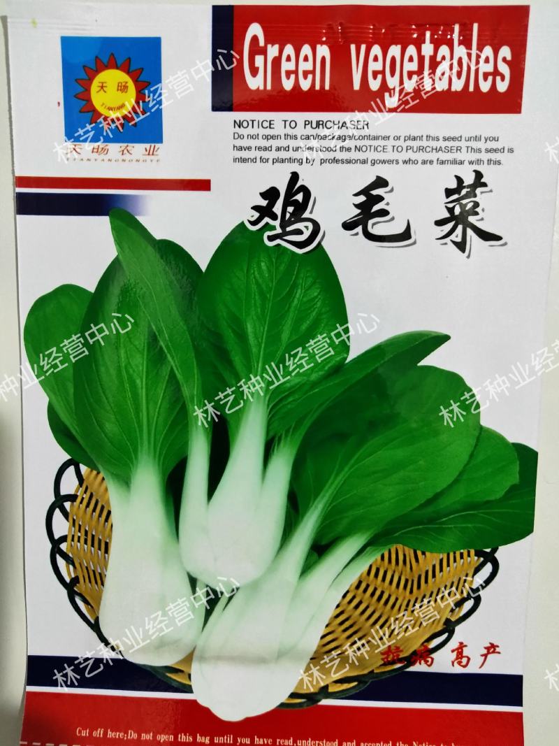 鸡毛菜种子四季播种抗热耐寒蔬菜种子阳台盆栽易种小青菜籽