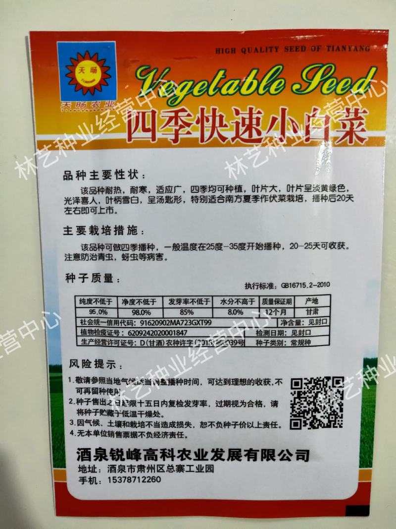 四季小白菜种子春夏秋冬季种植种孑蔬菜盆栽四季种籽