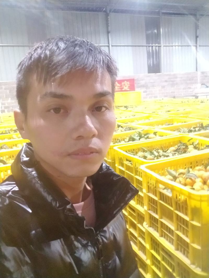 正宗砂糖桔代办代发电商平台市场有打腊厂一条龙服务