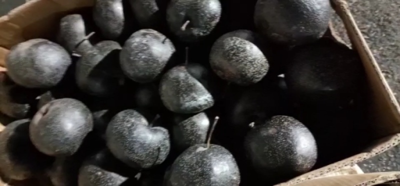 冻梨，可长期供货，量大从优，大中小号齐全，欢迎致电