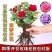 玫瑰花地栽老桩老根盆栽室内四季开花不断浓香室外特