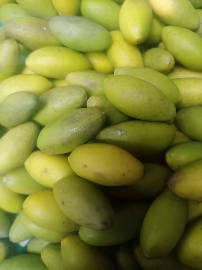 新鲜橄榄现摘现发生吃泡水泡茶孕妇煲汤余甘果泡酒