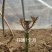 蔷小薇日本白花无刺蔷薇杆子枝条嫁接月季微月棒棒糖砧木容易