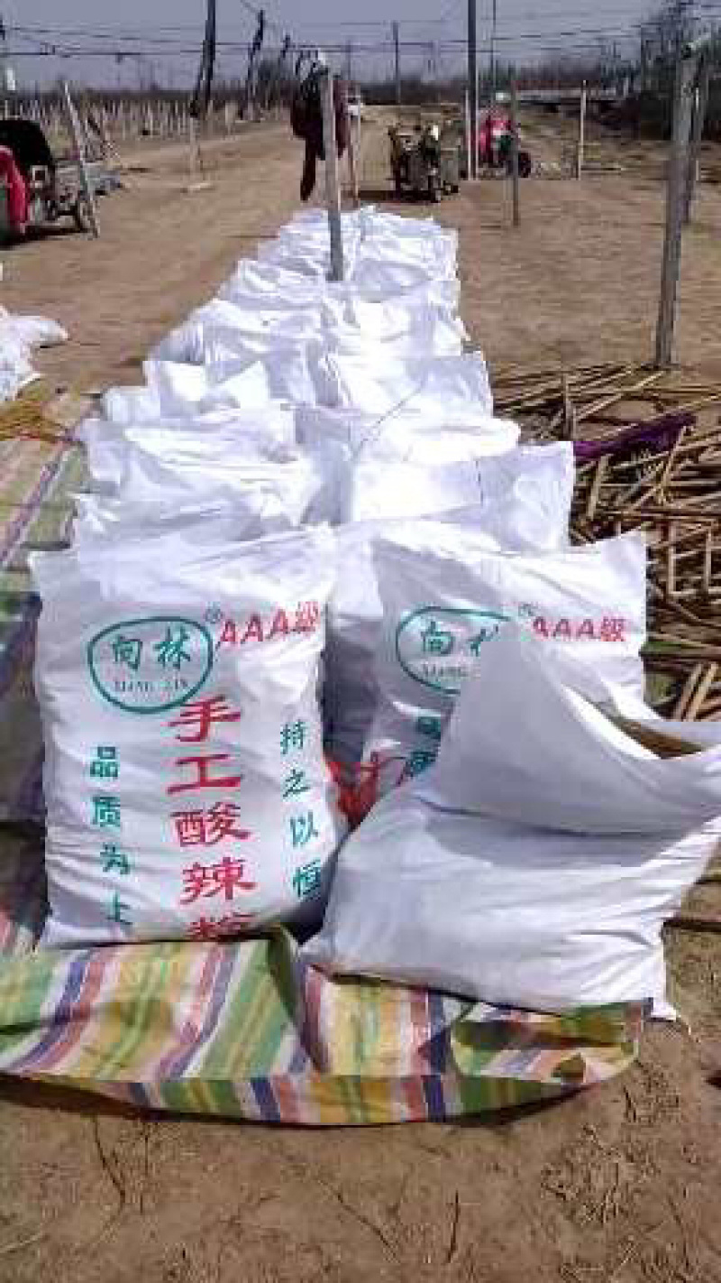 红薯，山药粉条厂家一手货源！精品包装！散装批发市场
