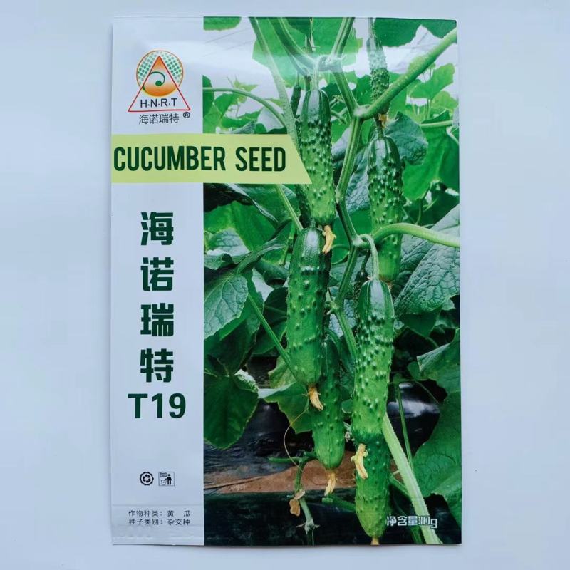 海诺瑞特T21强雌型黄瓜种子脆甜丰产大刺瘤旱黄瓜种子南北