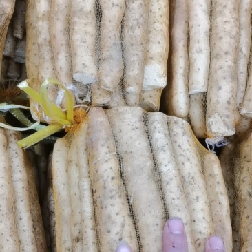 《优选》河北小白嘴山药产地直销，对接商超、饭店、批发商