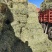 燕麦草出售