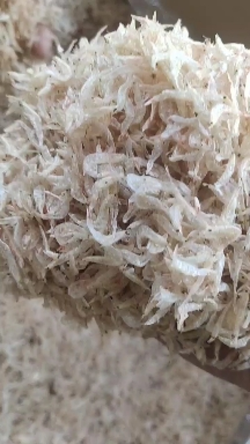 广东新鲜烘干生虾皮，足干，白净，煲汤鲜美放心食用