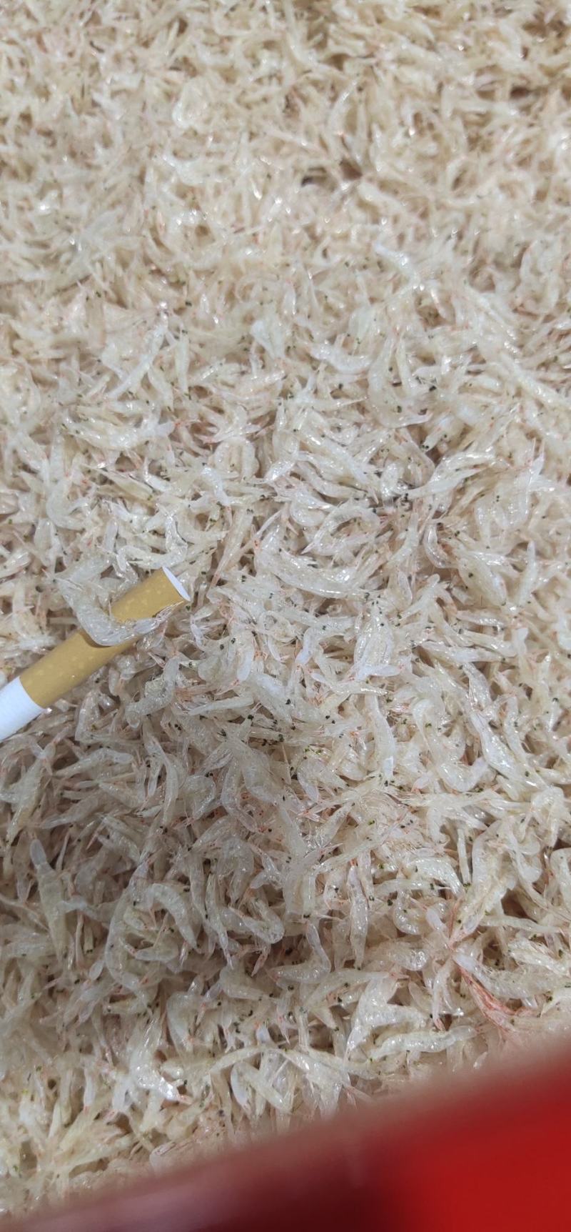 广东新鲜烘干生虾皮，足干，白净，煲汤鲜美放心食用