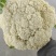 80天精品花菜