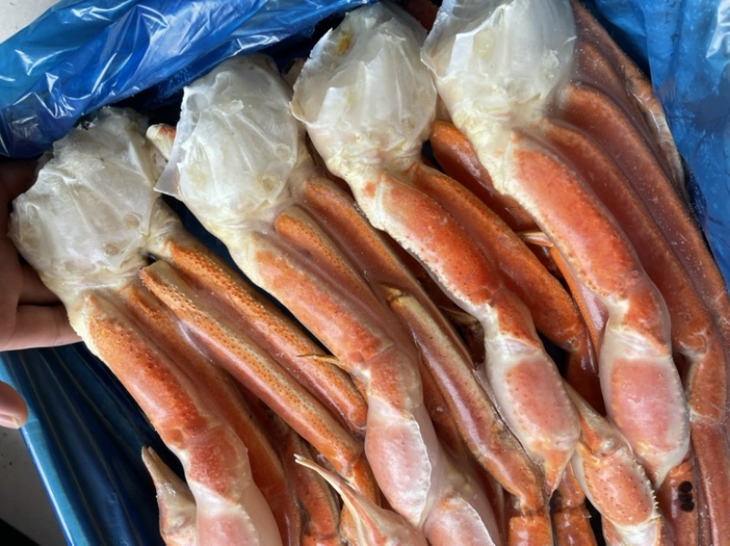 俄罗斯马加丹鳕蟹脚4L加大适合自助餐日料中餐